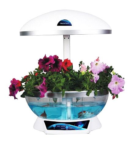 As A Creative Table Lamp Mini Fish Tank, Fish Tank Table Lamp