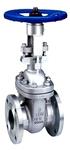 Cast steel ANSI flanged gate valve