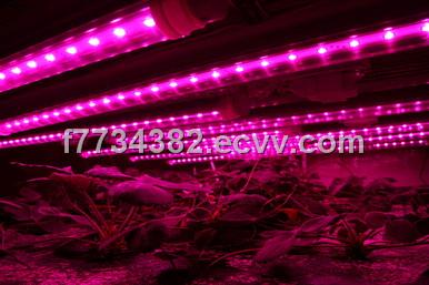 T8 LED Grow Light Tube