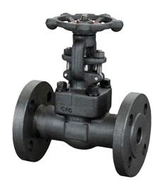 Class 150~600 Flanged End Forged Gate Valve