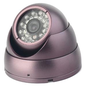 IR dome cameras  purple shell