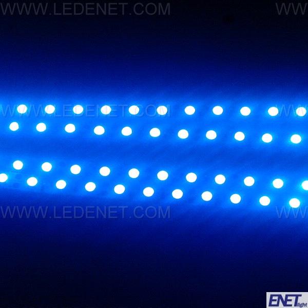 5m Blue Smd 5050 300 Led Strip Light Lamp Purchasing Souring Agent 5m Blue Smd 5050 300 Led Strip Light Lamp