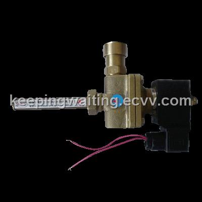 Water heater antifreeze solenoid valve