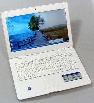 13.3 inch Laptop computer with dual core CPU, 4Gb RAM, 500Gb HDD