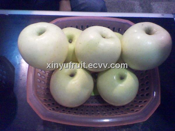ChinaFresh_White_Qinguan_Apple_Fruit2012327933080.jpg