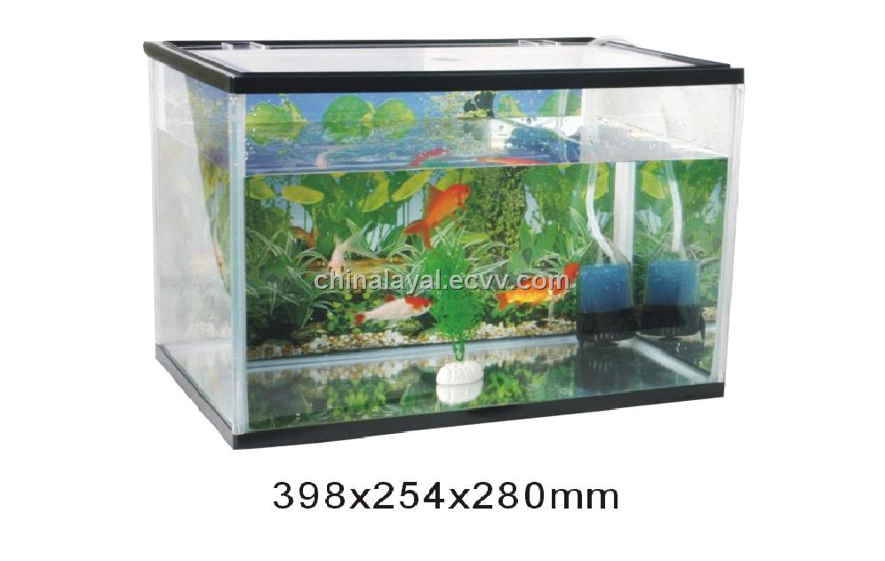 small glass tank