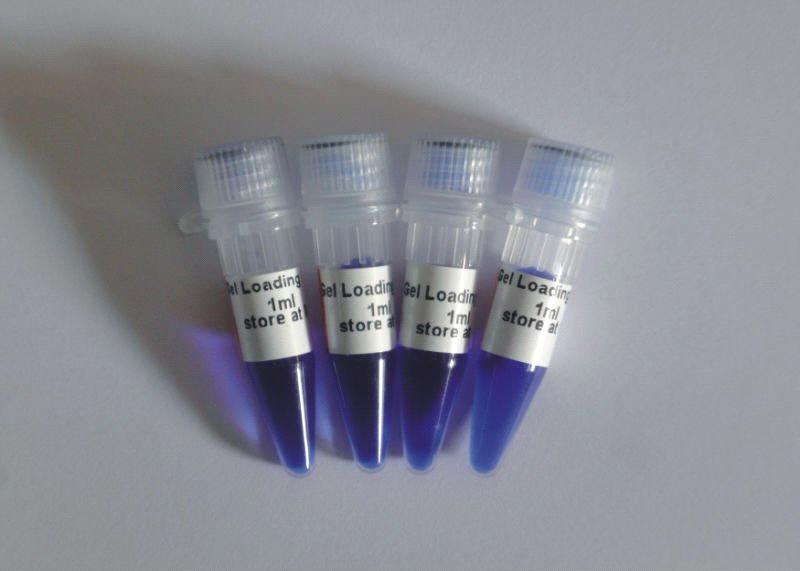 PCR Buffer from China Manufacturer, Manufactory, Factory 