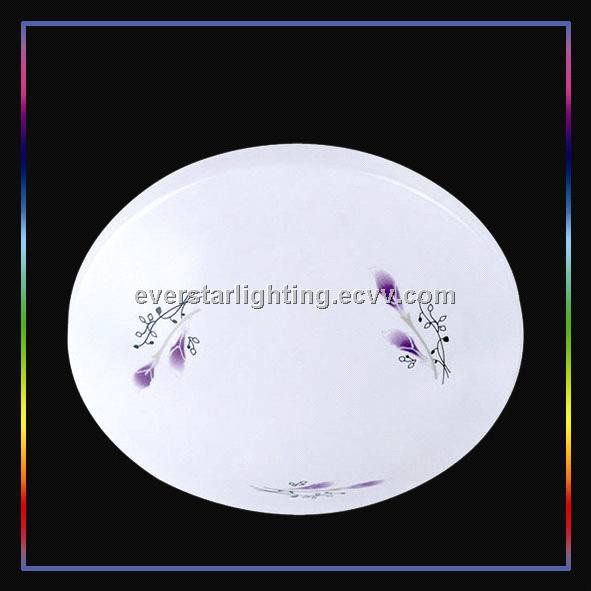 ESCE-20C LED Ceiling Lamp 20W Indoor Lighting