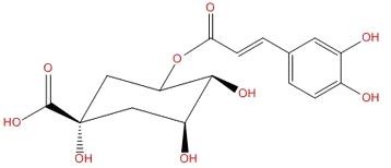 Cryptochlorogenic acid; 5-Caffeoylquinic acid   905-99-7