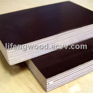 special size plywood and film faced plywood