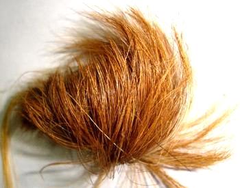 Billi Ki Jer From India Manufacturer Manufactory Factory And Supplier On Ecvv Com
