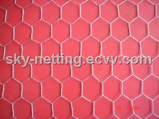 3/4'' Galvanized Hexagonal Wire Netting/Hexagonal Wire Mesh