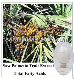 Saw palmetto Extract Powder Fatty acid 45%