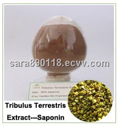 Tribulus terrestris extract high quality extract powder 90%saponins