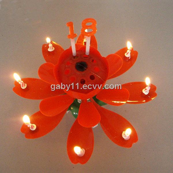 wholesale chrysanthmum birthday candle from China Manufacturer, Manufactory, Factory and