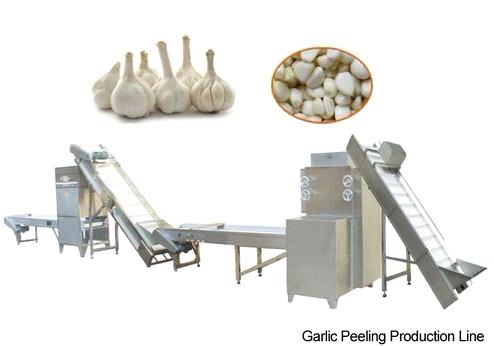 Garlic Peeling Machine