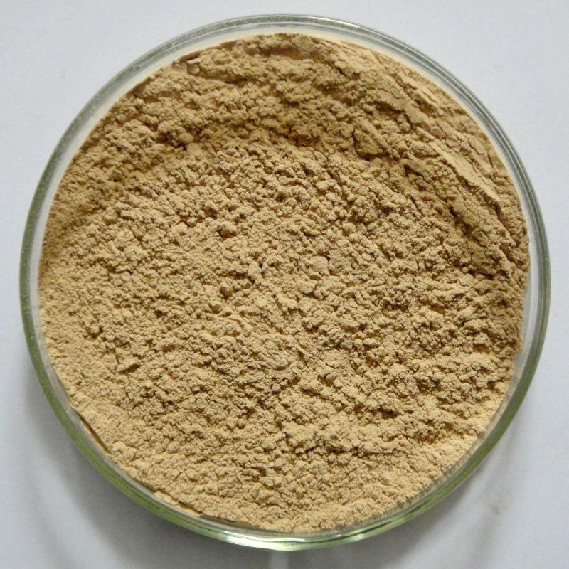 Low Price Green Coffee Bean Extract Powder