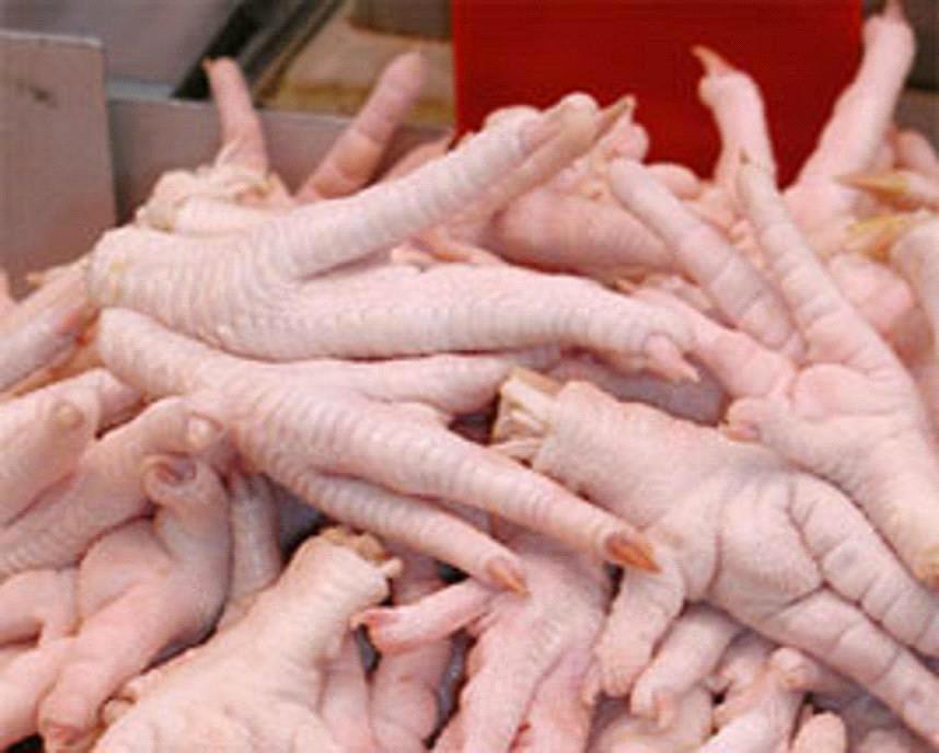 Frozen Chicken Paw, Chicken Feet from Cameroon from Cameroon Manufacturer, Manufactory, and Supplier on ECVV.com