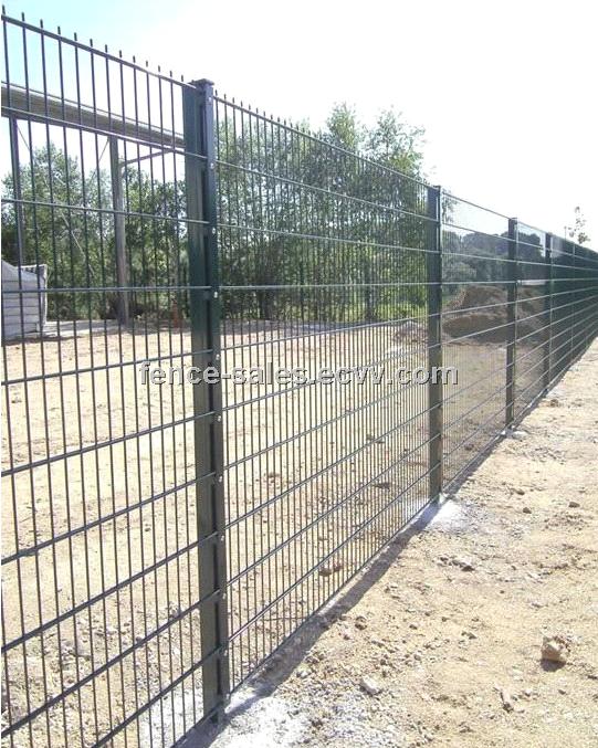 Decorative Panel Fence Double Wire Fence Anping Factory From China