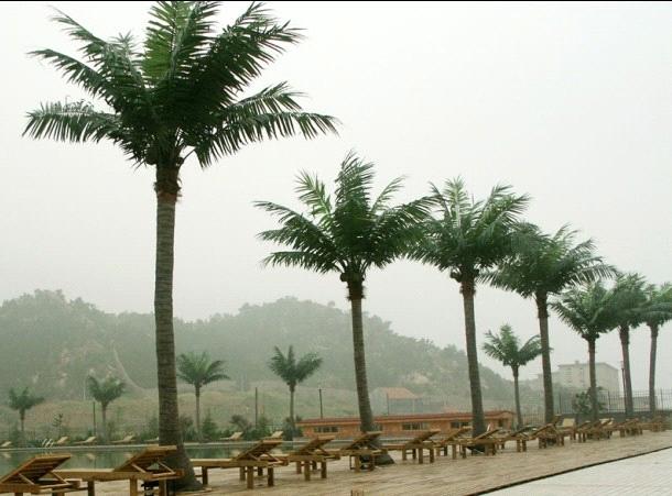 Artificial Fake Plastic Coconut Tree And Plants For Landscape