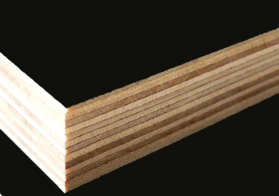 arine Film Faced Plywood/Shuttering Exterior Plywood/Construction Plywood