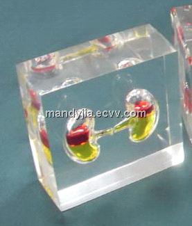 liquid lucite suppliers