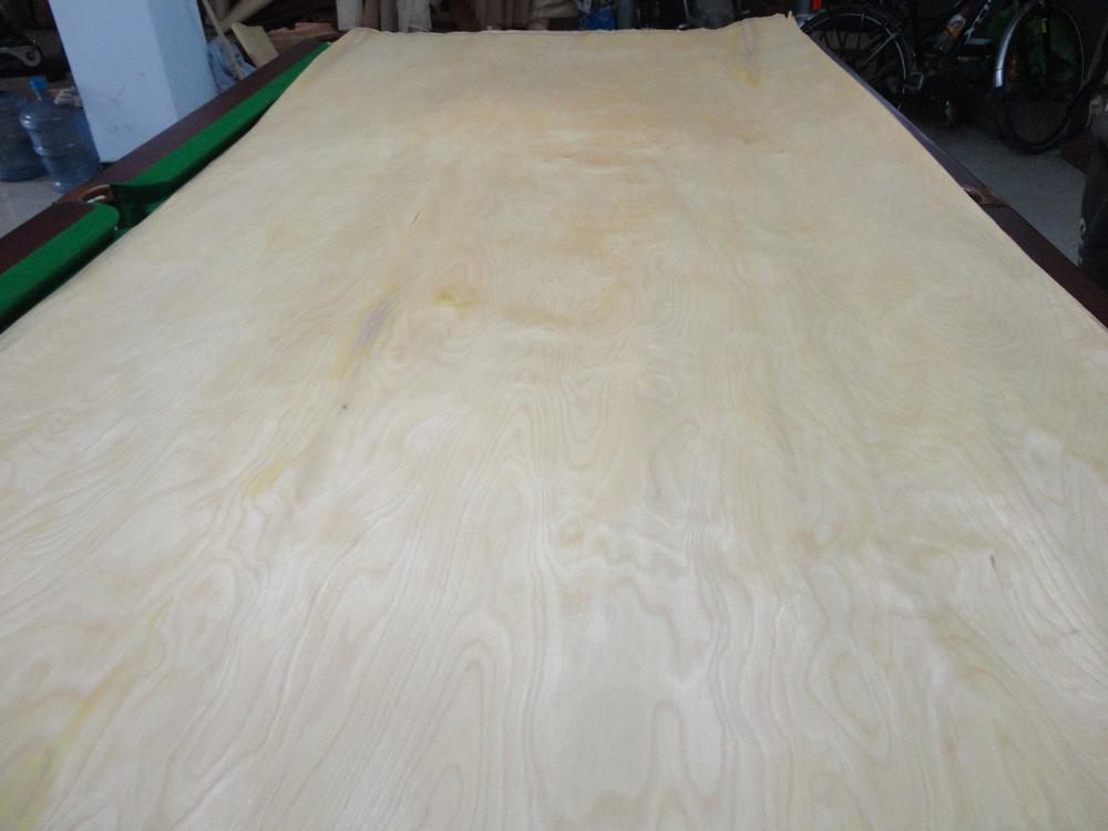Rotary White Birch Wood Veneer From China Manufacturer