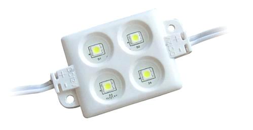 20pcs injection molding 5050 4LEDs/ piece led Modules Waterproof IP65 DC12V white