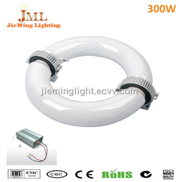 40w 60w 80w 100w 120w 150w 200w 250w 300w discharge induction lamp  80~90Lm/w with ballast