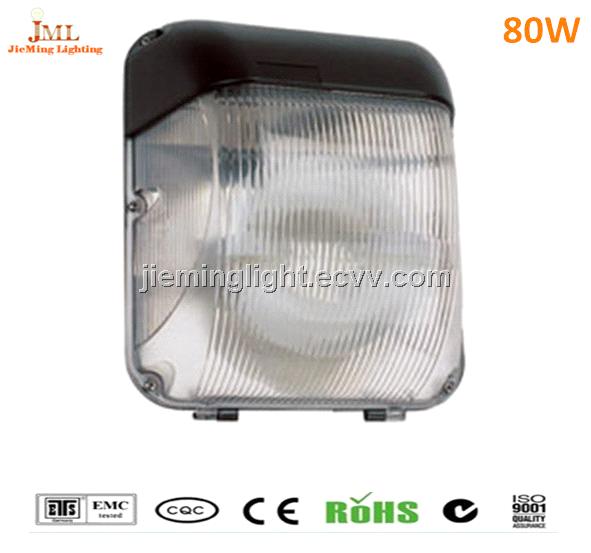 outdoor ceiling lamp light 40w 60w 80w Downlights