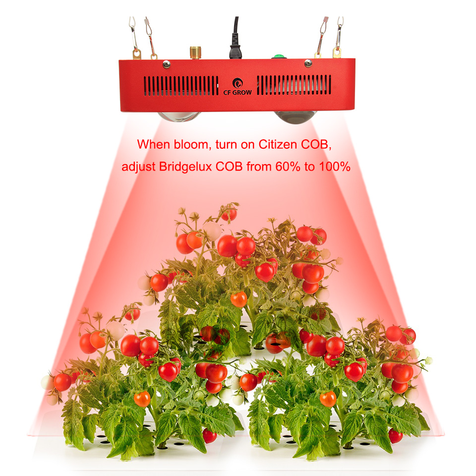 Citizen Bridgelux COB led grow ligth -11