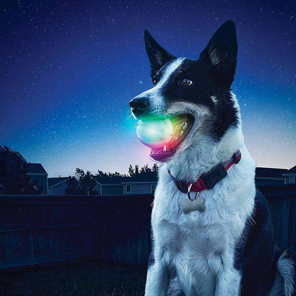 meteorlight k9 ball