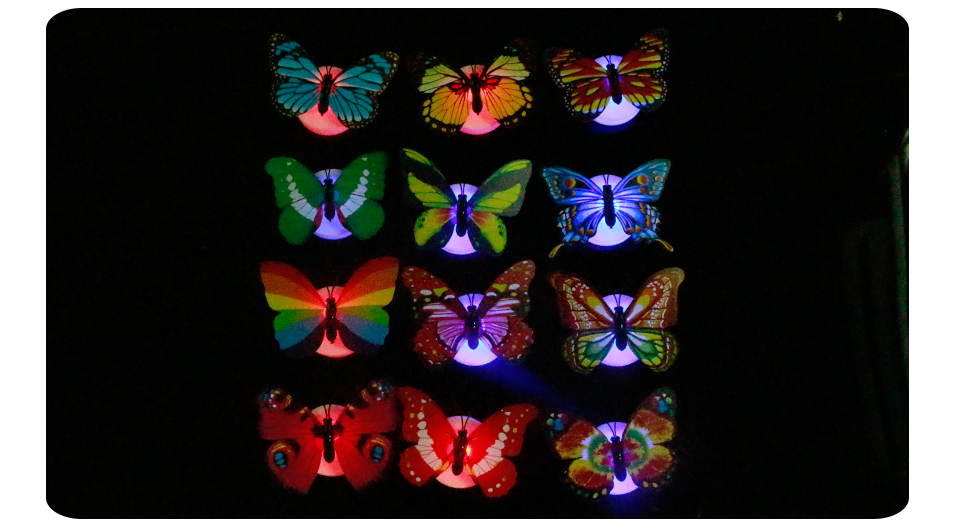 LED Night Light butterfly (9)