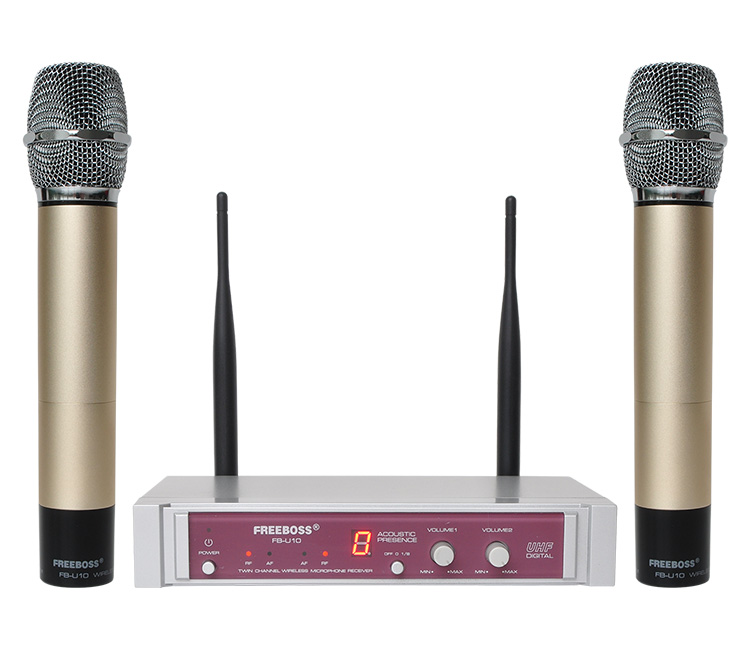 FB-U10 11 Wireless Microphones
