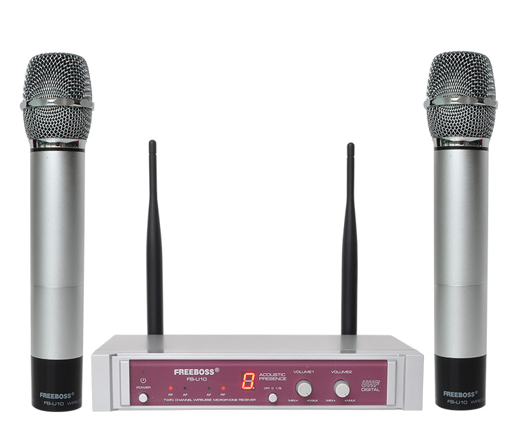 FB-U10 11 Wireless Microphones