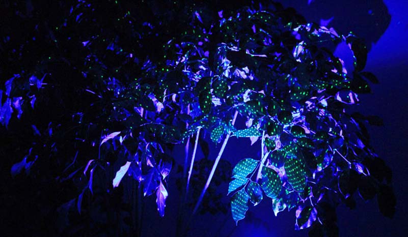 outdoor decoration laser lights