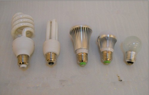 bulbs