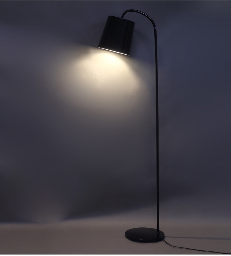 Iron Floor Lamp 16