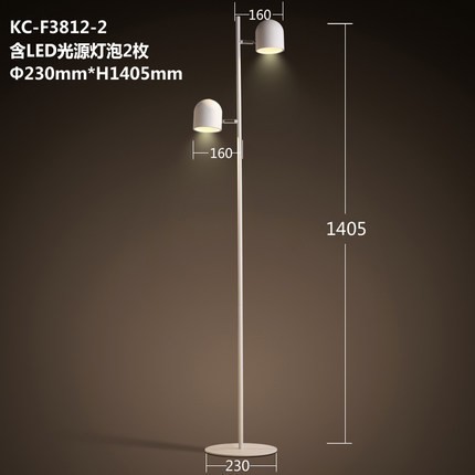 2015-new-modern-floor-lamp-iron-brief-led-standing-lamp-slider-personality-long-arm-nordic-modern (1)