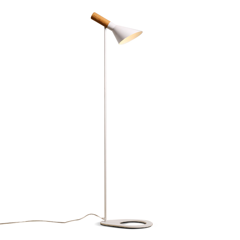 Nordic-AJ-led-floor-lamp-modern-wrought-iron-floor-light-led-floor-lighting-for-living-room (4)