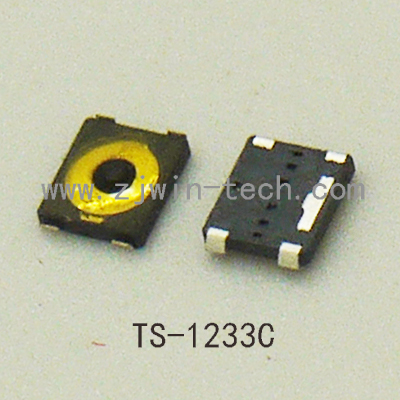 TS-1233C