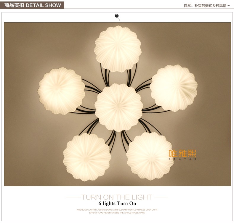 XC-8001 glass ceiling lighting  (6)_A