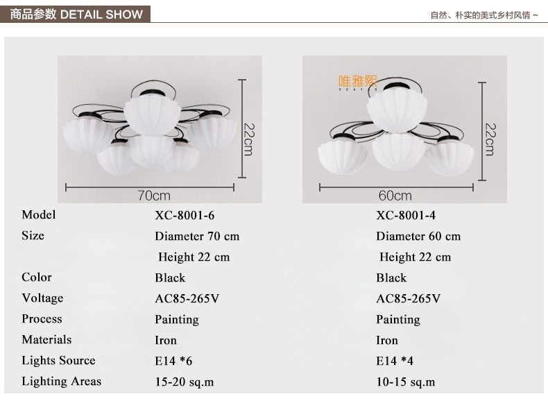 XC-8001 glass ceiling lighting  (11)_A