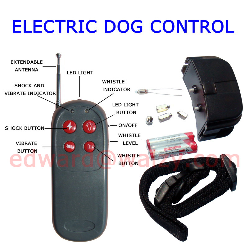 electic dog control 01