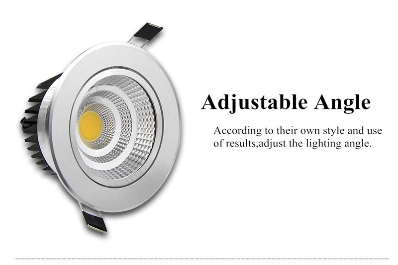 LED Downlight  (12)