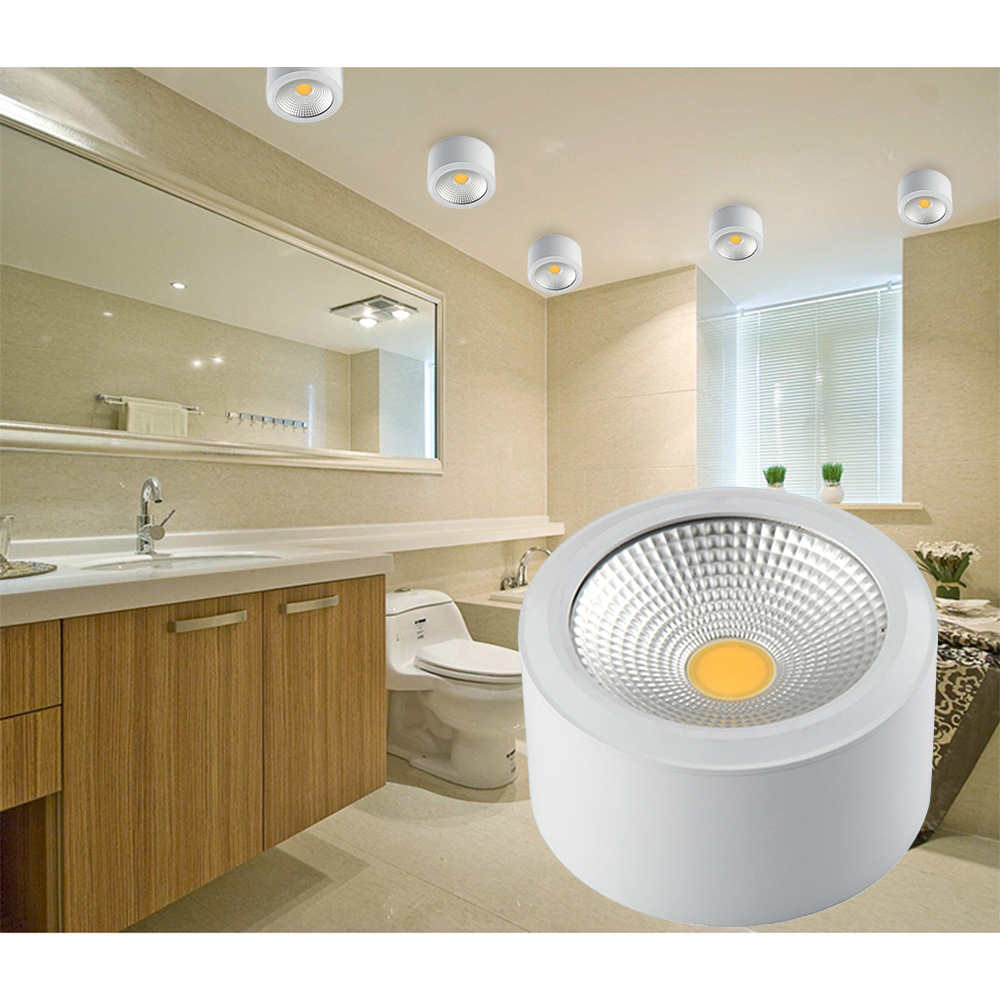 LED surface downlight  (13)