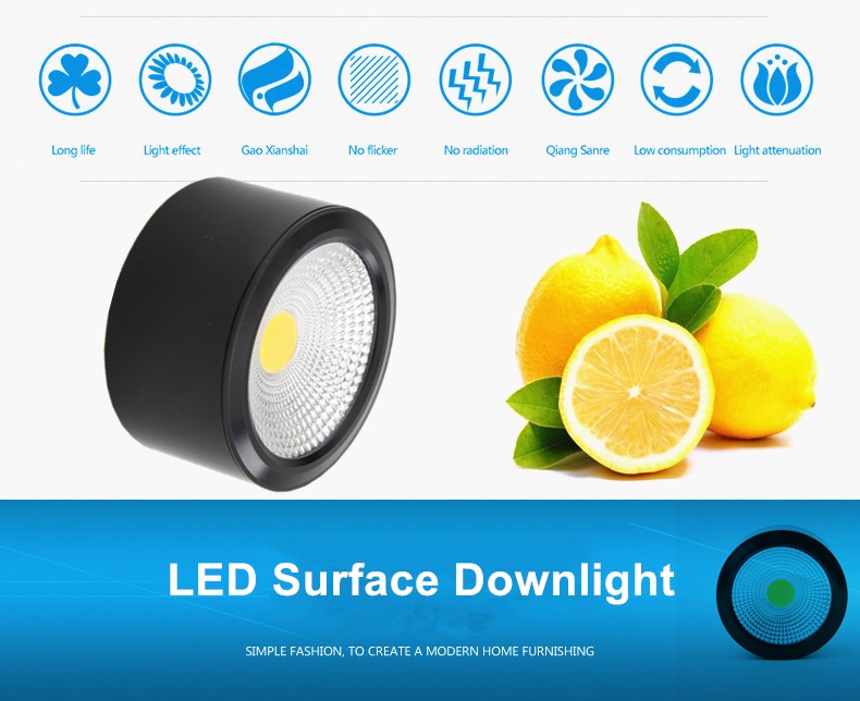 surface downlight 