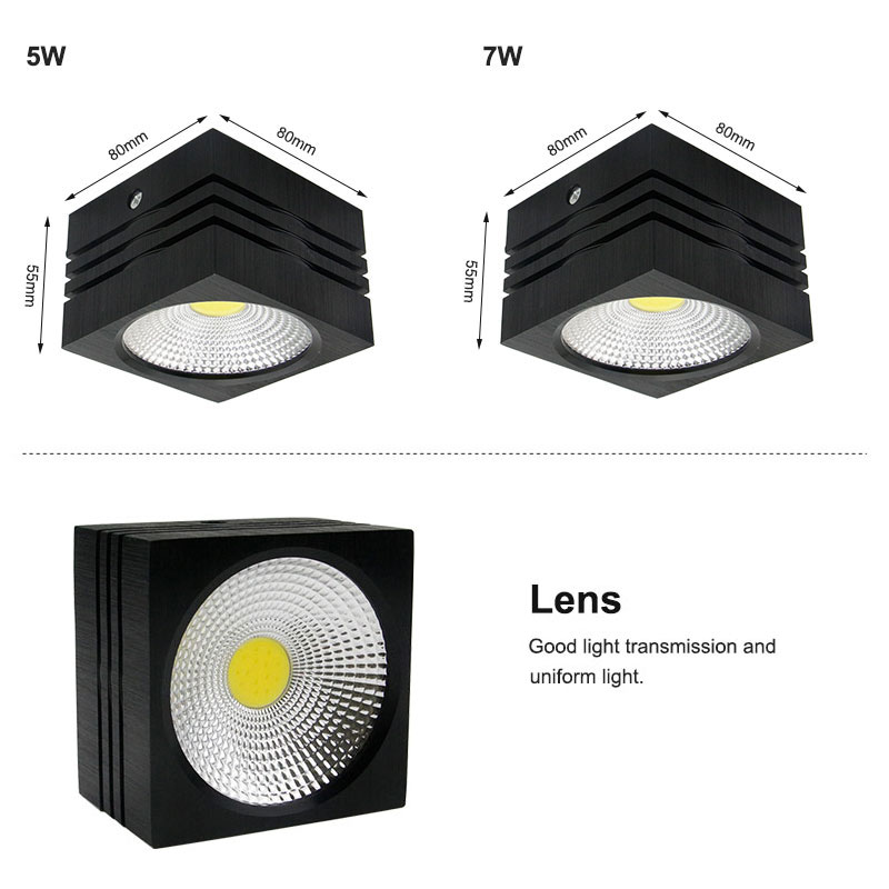 led downlight (12)