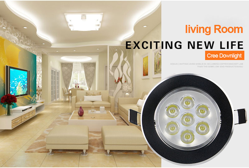 led ceiling light  (14)