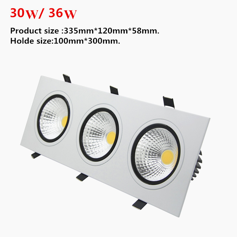 Dimmable Downlight (19)